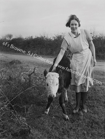 LADY WITH CALF